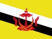 Flag of Brunei